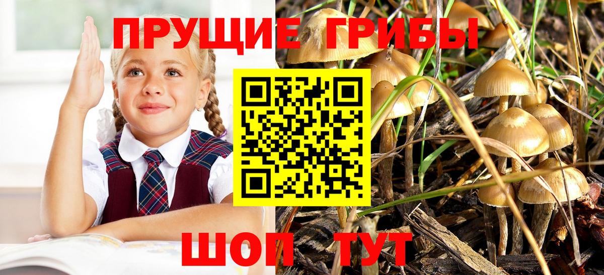 Галлюциногенные грибы прущие грибы  Вход с VPN  Псилоцибиновые грибы MAGIC MUSHROOMS  Соль-Илецк 