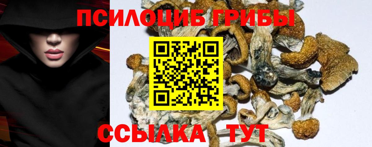 Галлюциногенные грибы мухоморы Соль-Илецк